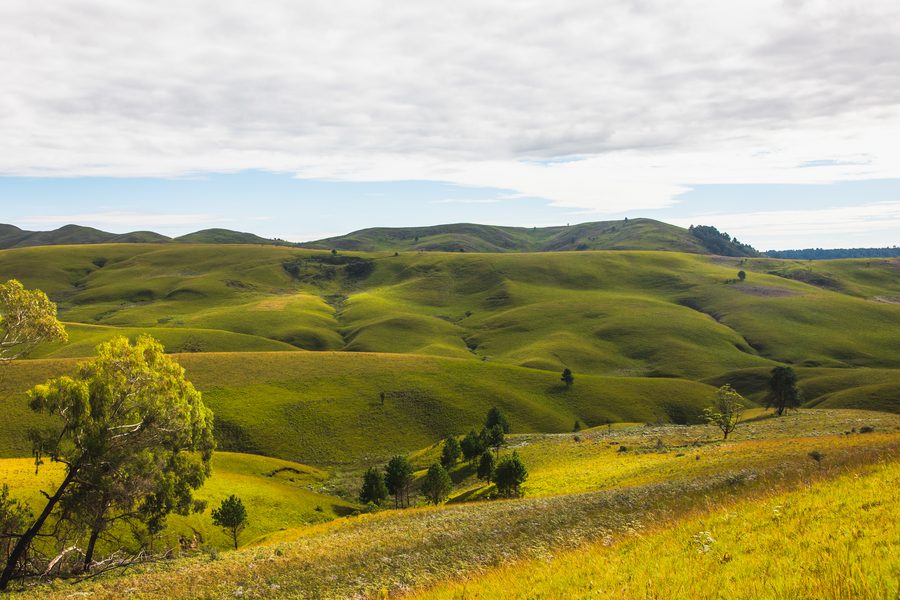 Undulating landscape of Kitulo National Park in the southern highlands of Tanzania