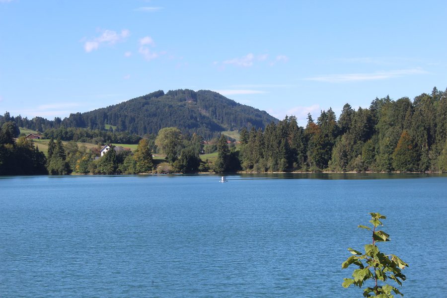 Blick über den Forggensee auf Uferbereiche bei Roßhaupten