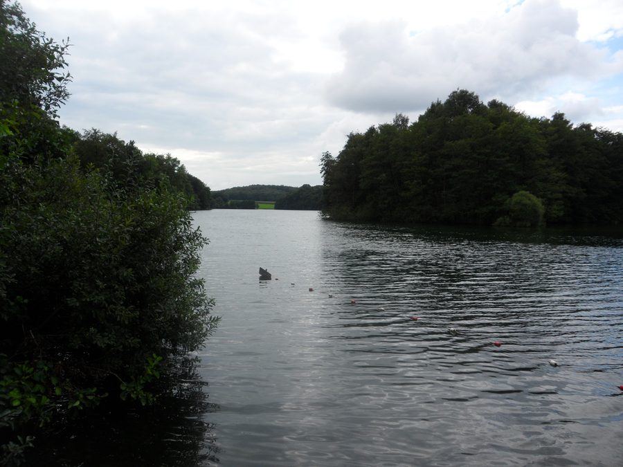 Stocksee in Schleswig-Holstein, Germany, with the Lange Insel
