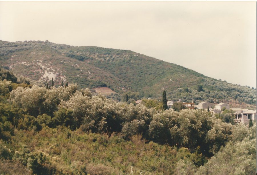 Veduta di Moraḯtika a Corfù