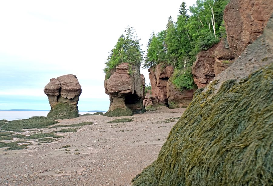 The Hopewell Rocks at low tide in the Bay of Fundy, New Brunswick.