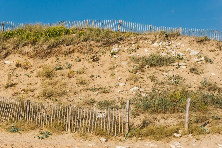 File:Dune, Sainte-Marie-de-Ré, Ré island, Charente-Maritime, France.jpg