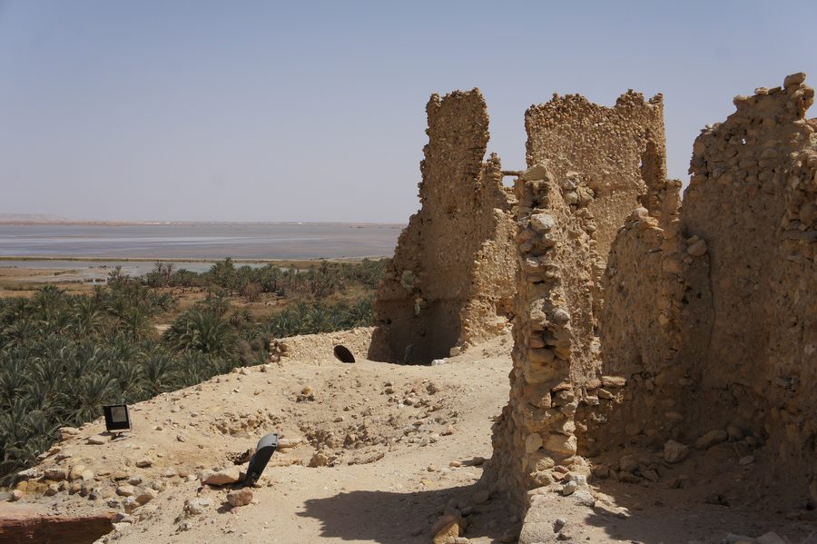 Blick vom Aghurmi-Hügel über die Palmenlandschaft der Oase Siwa