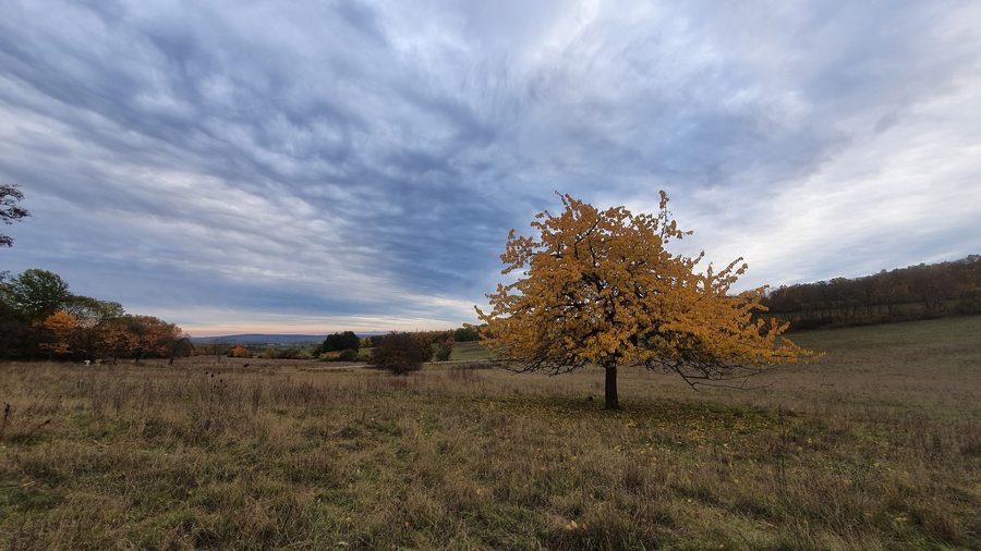 Immagine autunnale del Wildkatzendorf Hütscheroda