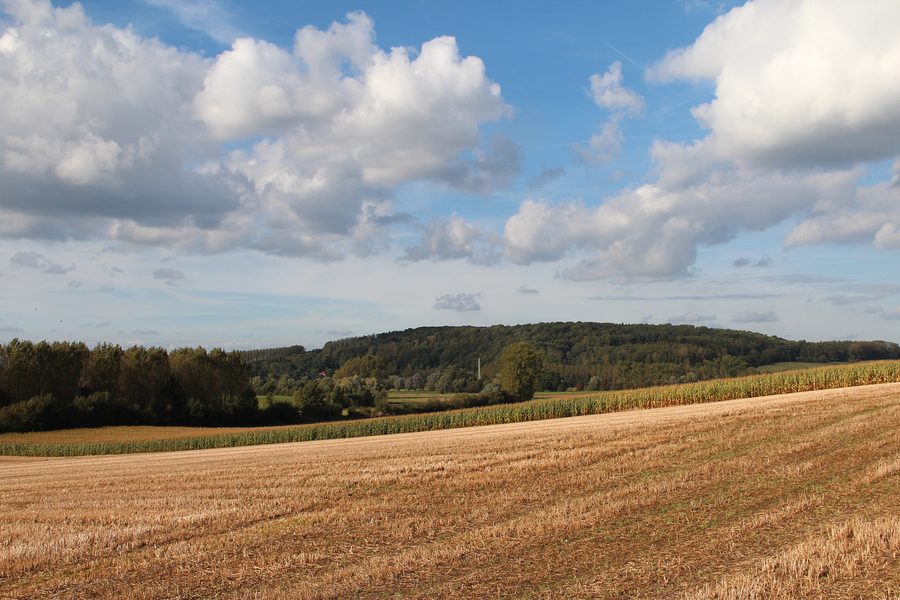 Hügellandschaft am Mont Panisel bei Mons im Hennegau