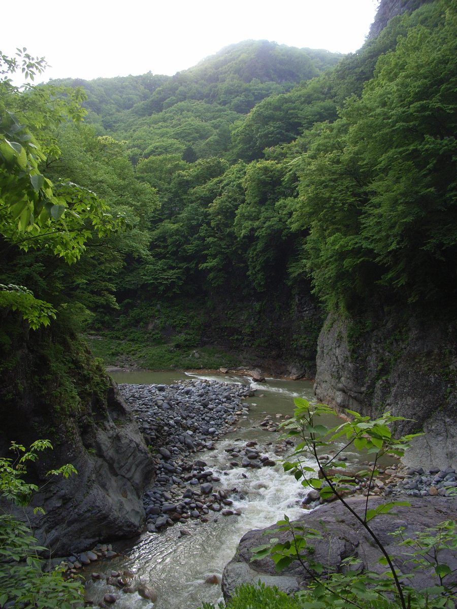 Agatsuma Valley with steep wooded slopes in Gunma, Japan.