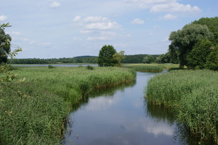 Fluss Ełk nahe dem Dorf Miluki