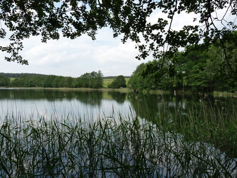 Il lago Glammsee vicino al villaggio di Witzin nel Meclemburgo-Pomerania Anteriore