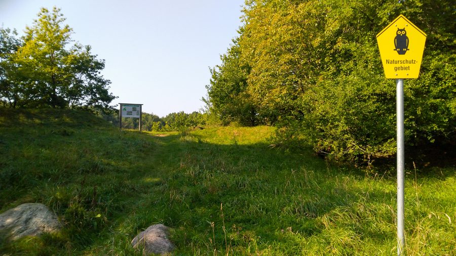Waldlandschaft im FFH-Gebiet Eichenwälder der Böxlunder Geest