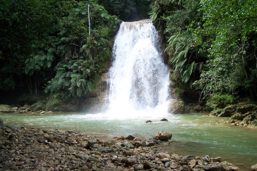 El Limón Waterfall surrounded by lush tropical vegetation