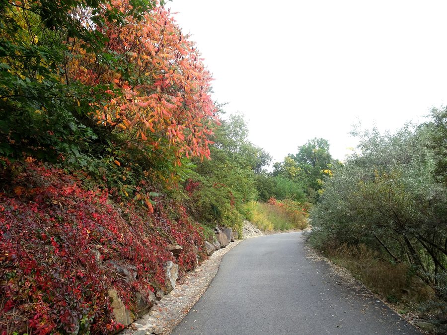 Sentiero nell’area dello zoo di Plzeň