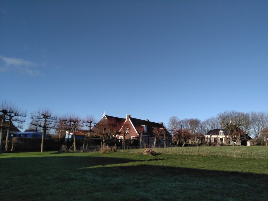 Woningen op de terp van Niawier in Noardeast-Fryslân