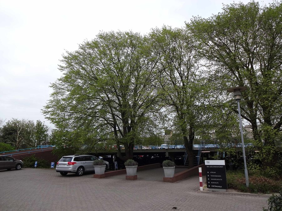 File:2211 Noordwijkerhout, Netherlands - panoramio (10).jpg