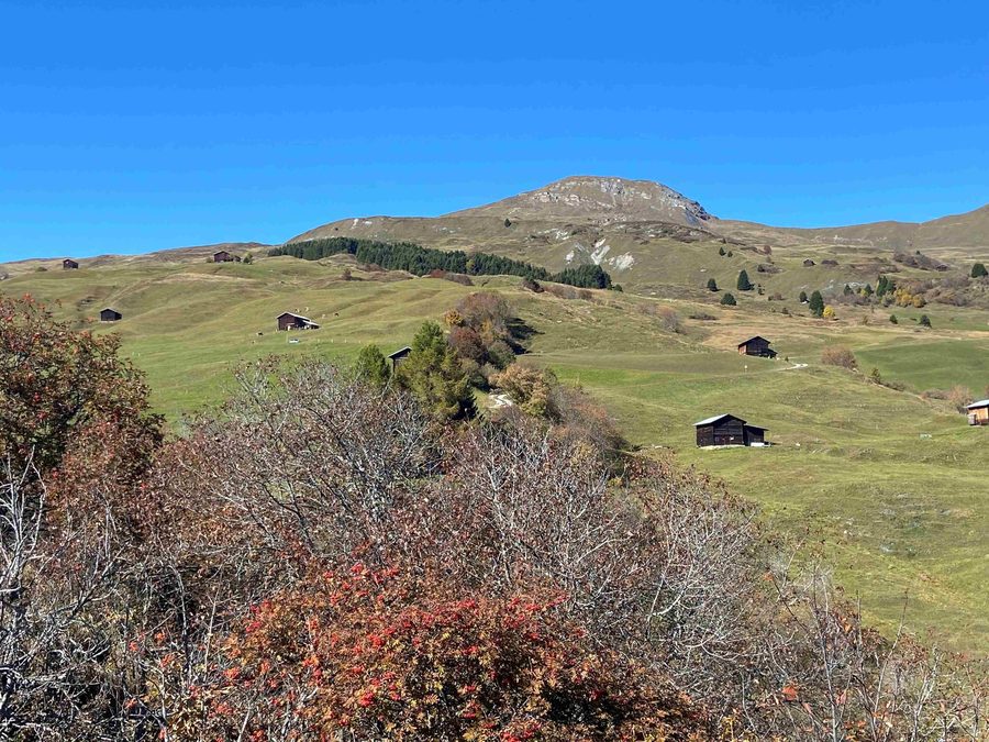 Blick auf den Piz Sezner in der Val Lumnezia im Herbst