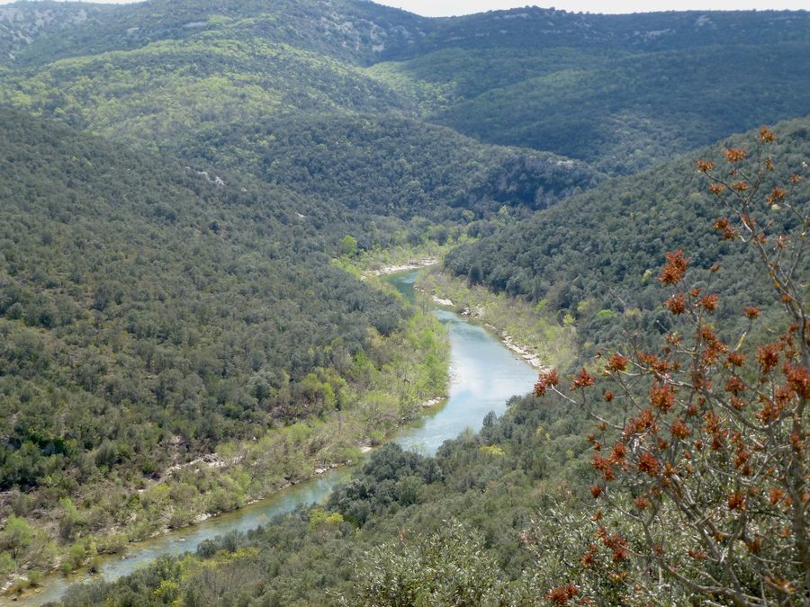 Landschaft am Hérault bei Causse-de-la-Selle