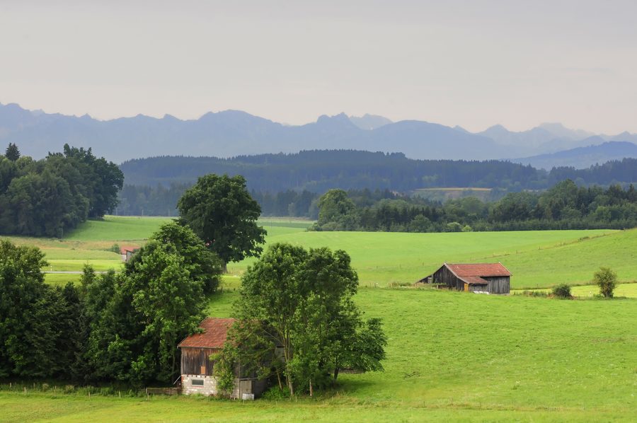 Landschaft im Pfaffenwinkel mit Weg und landwirtschaftlich geprägter Umgebung