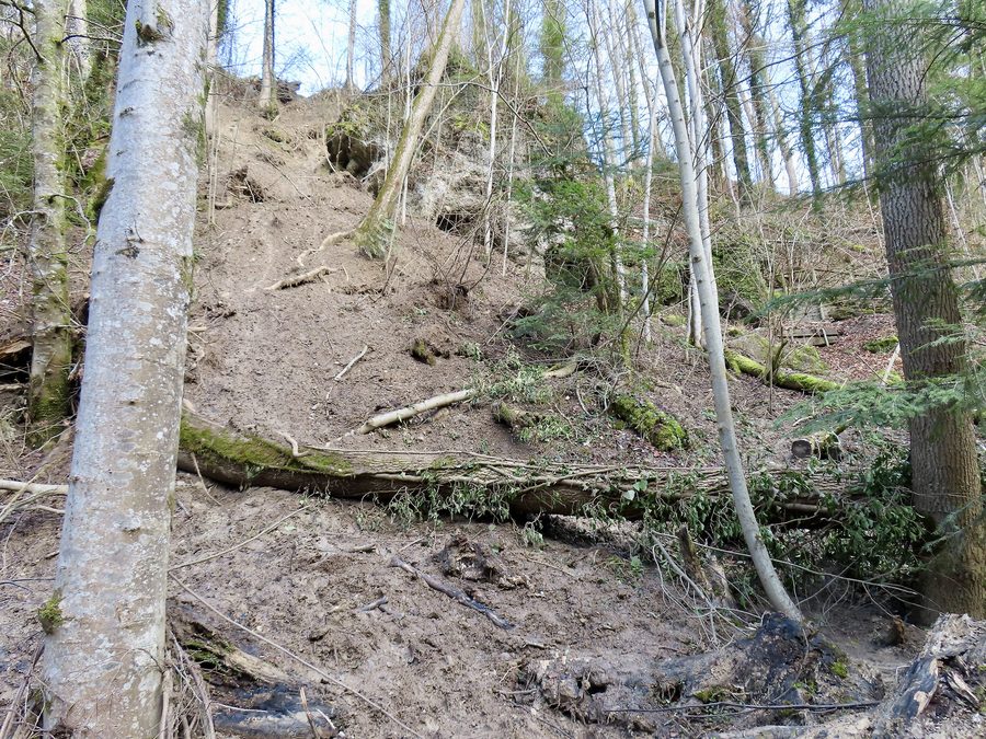 Pendio franoso nel Küsnachter Tobel sotto la Drachenhöhle