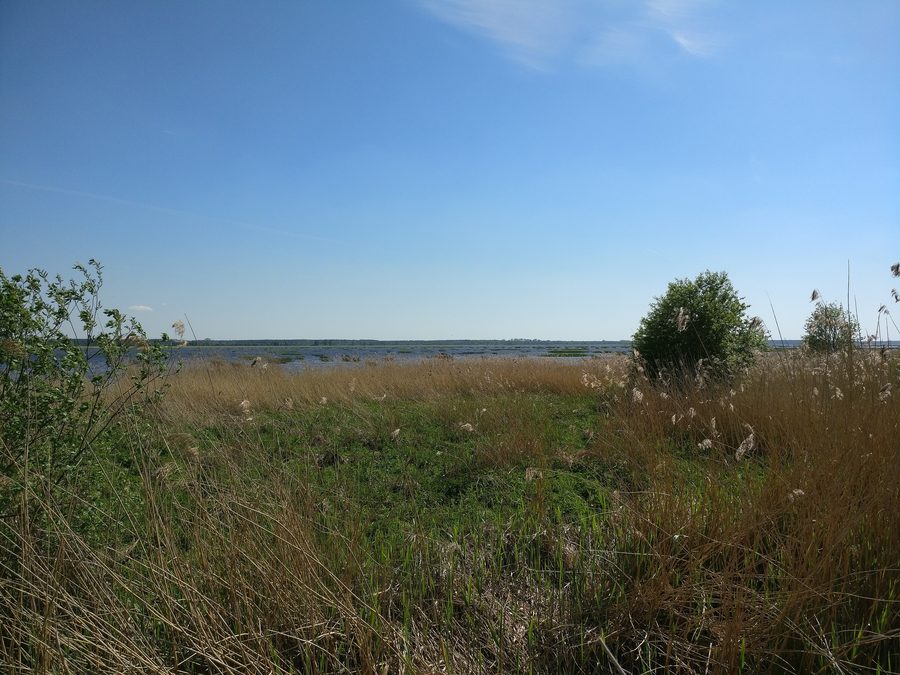 Paesaggio sul Babītes ezers in Lettonia
