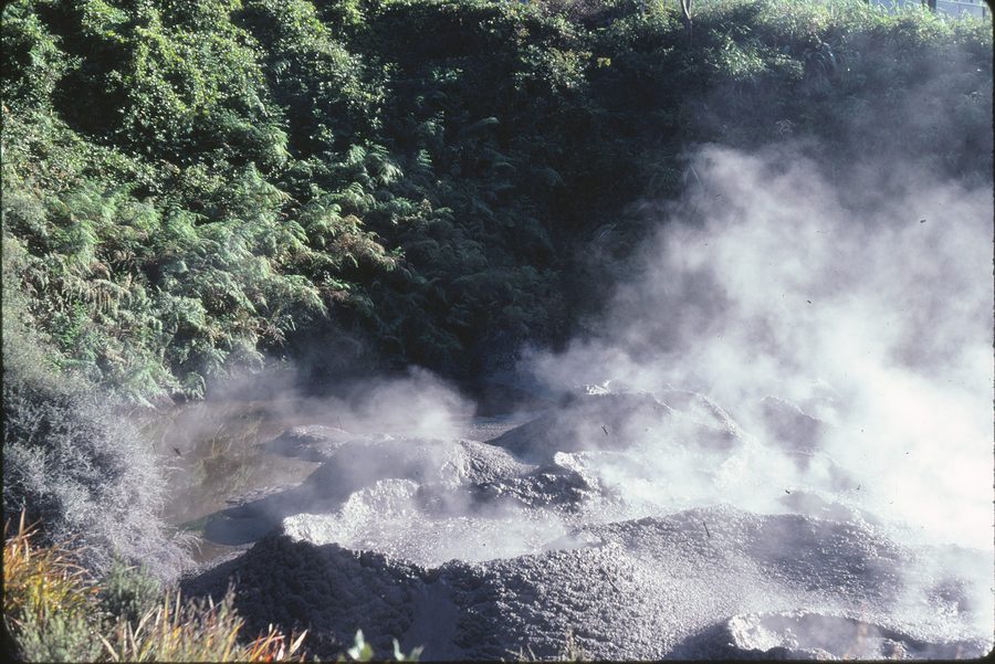 Paesaggio geotermico nell’area di Rotorua in Nuova Zelanda.