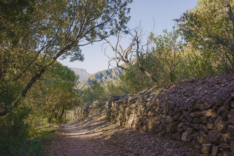 File:Trail in Vieussan 01.jpg