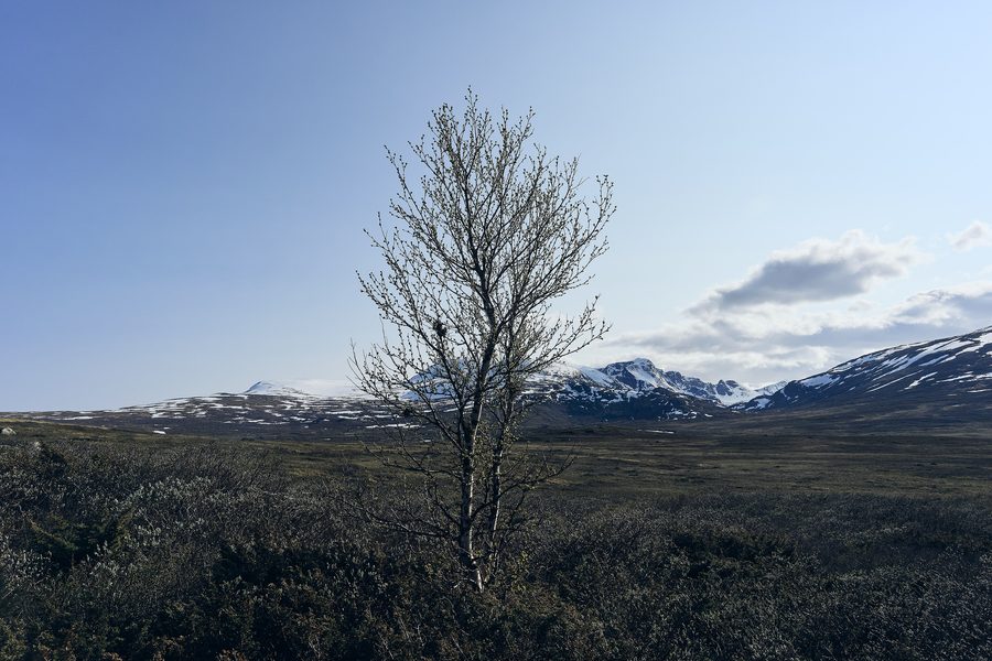 A road crossing the broad mountain plateau of Valdresflye with rugged Jotunheimen peaks in the distance.