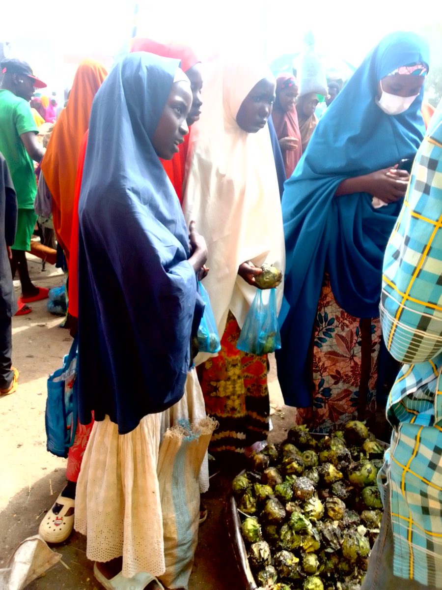 Marktszene mit Frauen in Yobe State, Nigeria