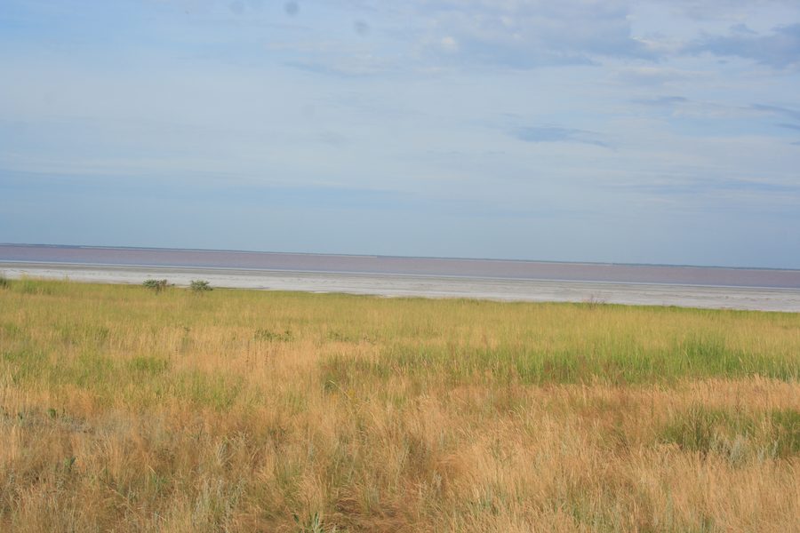 Offene Steppe im Blagoveshchenskiy rayon der Region Altai