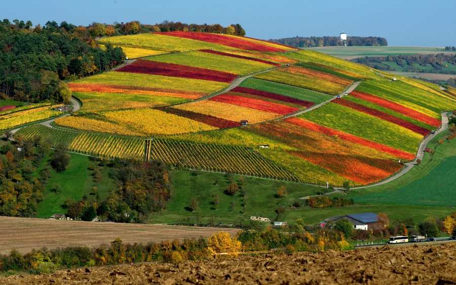 Blick vom Karlsberg auf Weikersheim und die Weinberge des Taubertals im Herbst