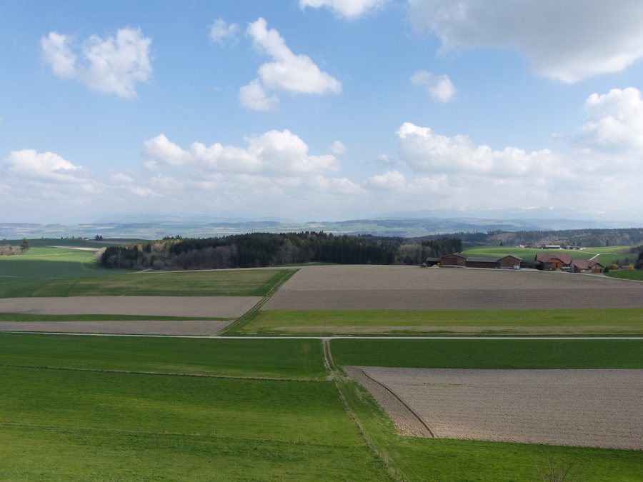Weite Landschaftsansicht über das Gros-de-Vaud mit Blick auf die Alpen