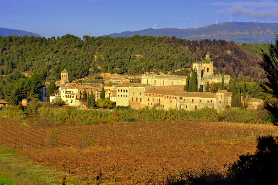 File:Monestir de Santes Creus (Aiguamúrcia) - 38.jpg