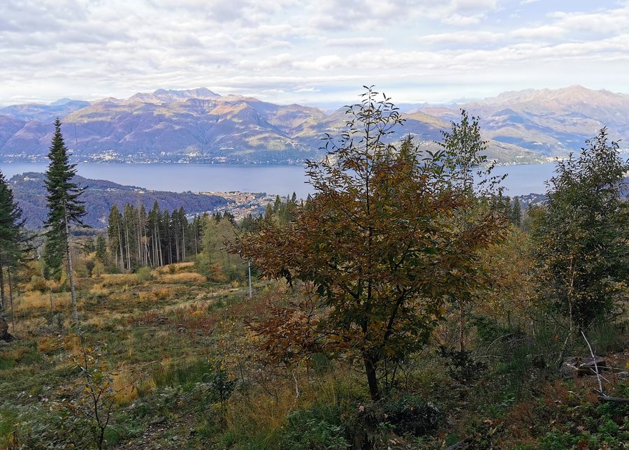 Vista sul Lago Maggiore dal sentiero per il Monte Sette Termini, nel Gebiet von Montegrino Valtravaglia