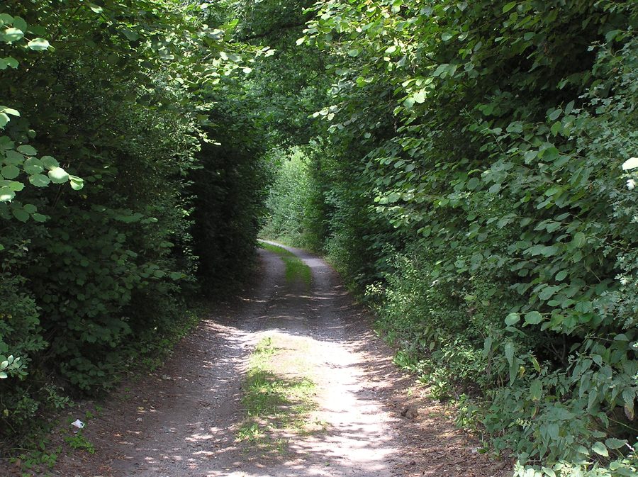 Redder in Siek im Kreis Stormarn