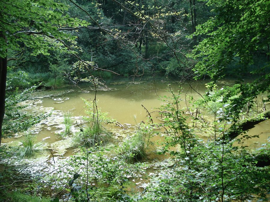 Il Teufelsloch presso Osterode am Harz
