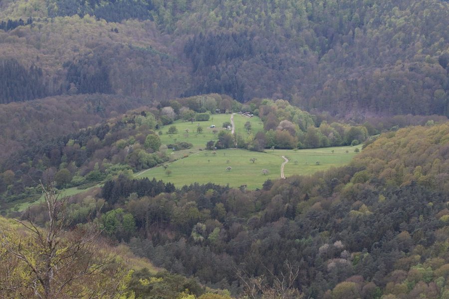 Wiese oberhalb von Hirschthal, gesehen vom Schloss Hohenbourg in Rheinland-Pfalz