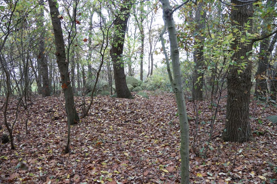 File:NLD Großsteingrab Lähden 1 01.jpg