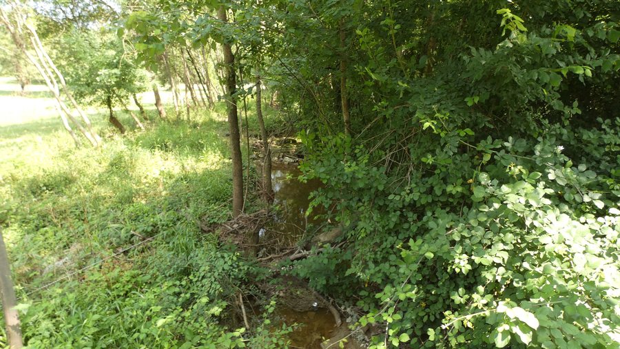 File:La Droude à Méjannes-lès-Alès - 1.jpg