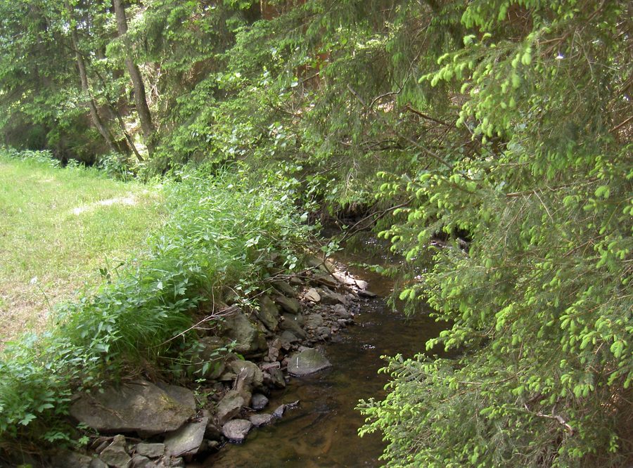 Bayerische Schwarzach in der Oberpfalz