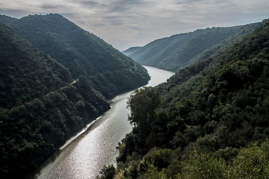 Weg durch die Landschaft des Naturparks Sierra de Hornachuelos