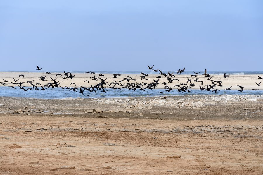 Laguna sulla Skeleton Coast in Namibia