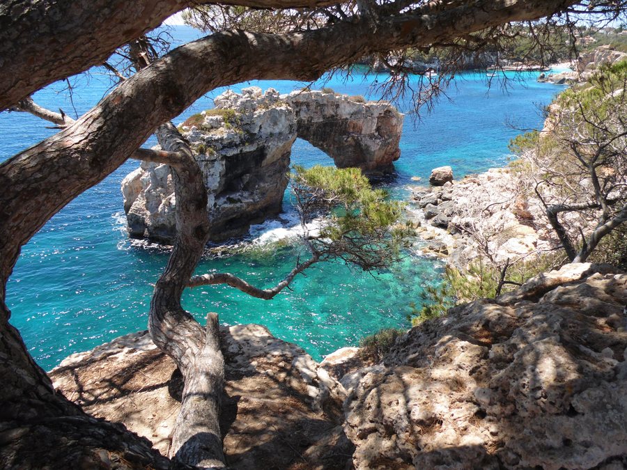 File:CALA SANTANYI - Majorka, AB-051.jpg