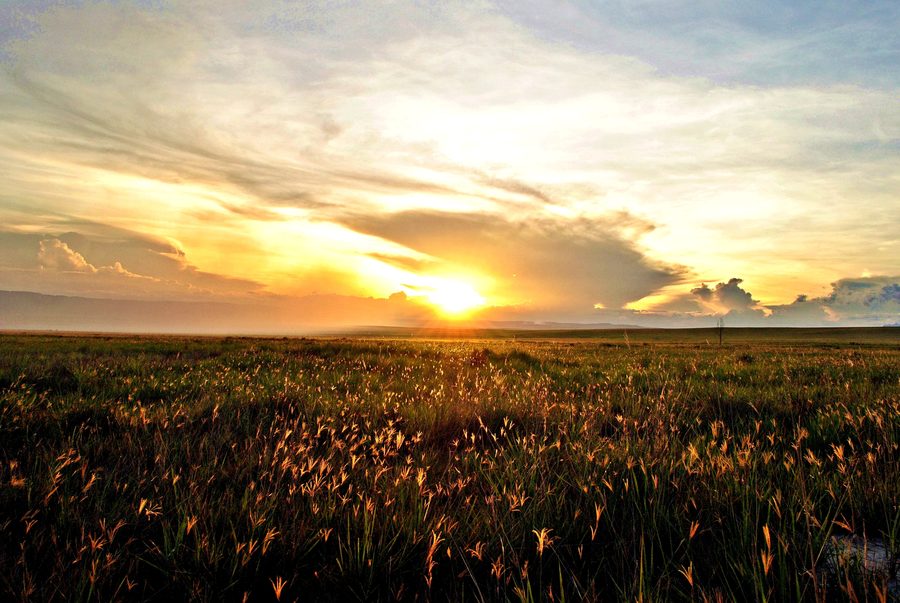 La Gran Sabana nello stato di Bolívar