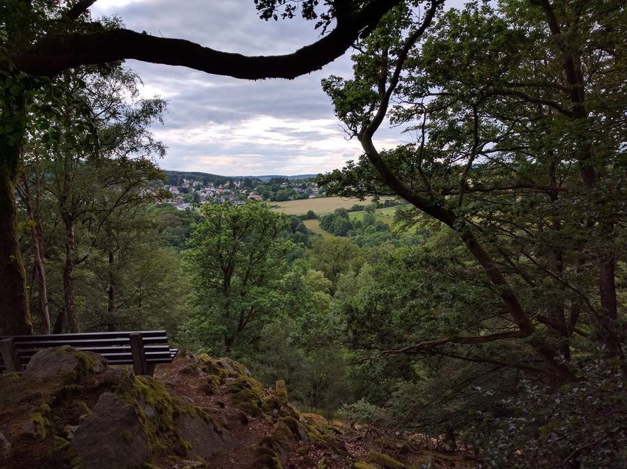 Aussicht im saarländischen Nationalpark Hunsrück-Hochwald bei Nonnweiler