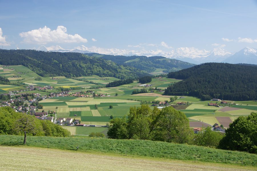 Landschaft bei Ballenbüel in Konolfingen mit Blick über den Berner Alpenraum