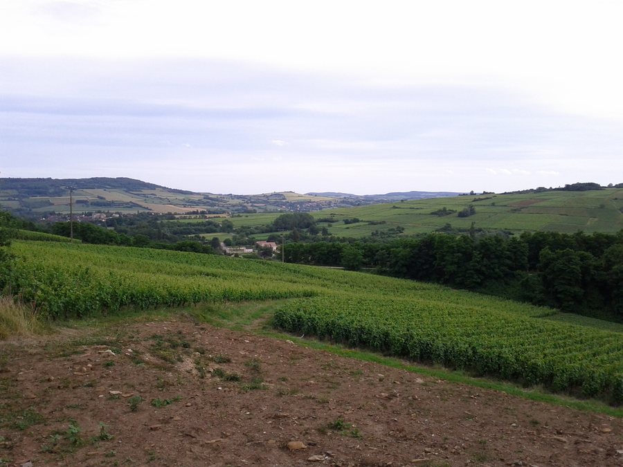 File:71150 Dezize-lès-Maranges, France - panoramio.jpg