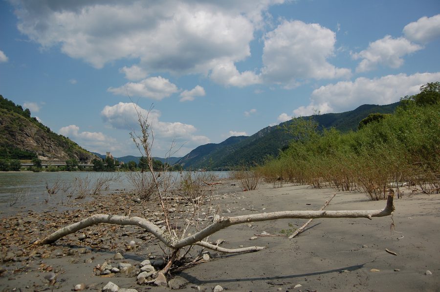 The Danube banks in the Wachau with a church and hills in the background.
