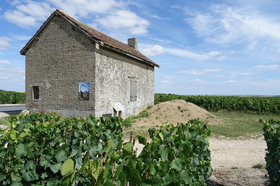 File:Loge de Vigne Trepail Champagne.jpg