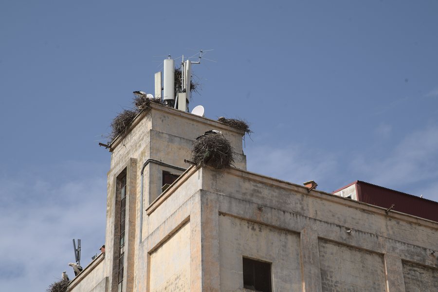 File:Silo de Santa Amalia 02.jpg