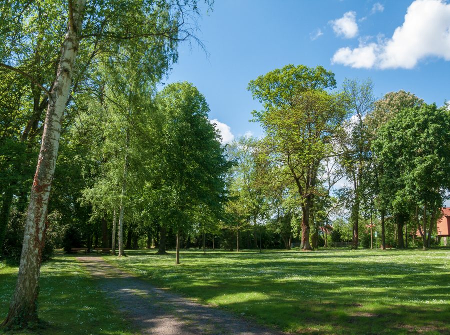 Vista sul parco del castello a Bad Rappenau-Bonfeld