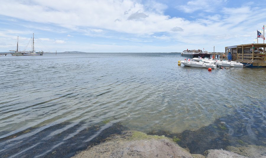 File:Étang de Thau, Marseillan, Hérault 01.jpg