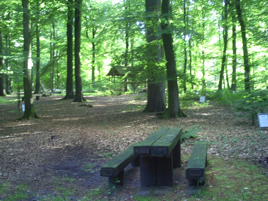 Freizeitlichtung im Klueser Wald nahe Kruså